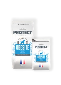 Flatazor Pro-Nutrition Protect Dog Obesite 12kg