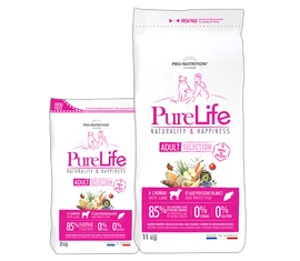 Flatazor kutyatápok