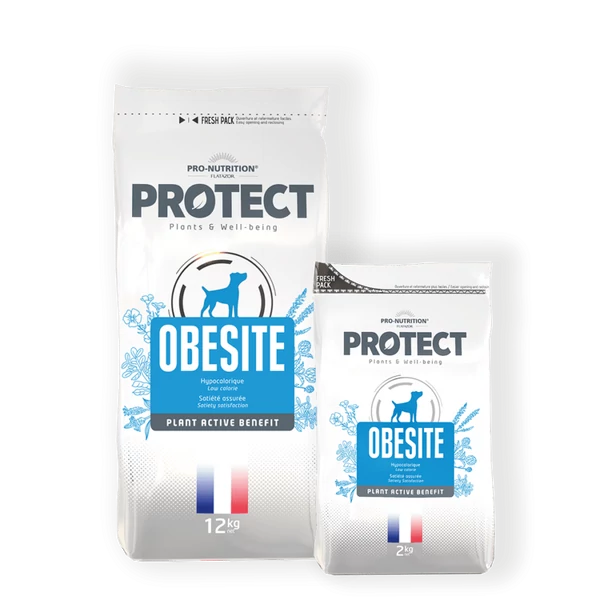 Flatazor Pro-Nutrition Protect Dog Obesite 12kg