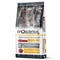 ProScience Adult Cat Chicken 15kg